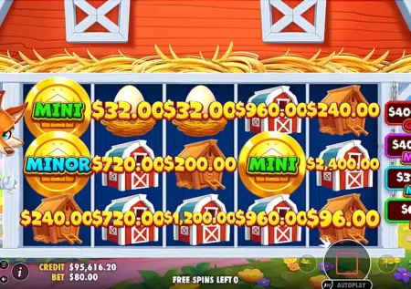 Better Barn House Bonanza