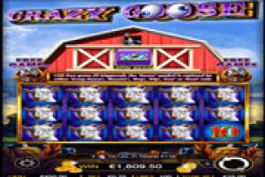 Crazy-Goose-Online-Slot