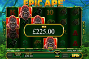 Epic Ape