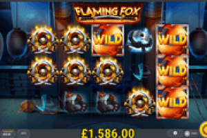 Flaming-Fox-Online-Slot