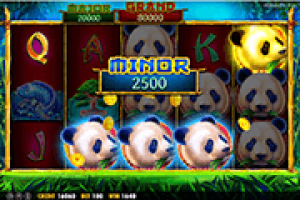 Pandas-Fortune-Online-Slot