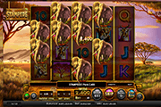 Stampede-Online-Slot