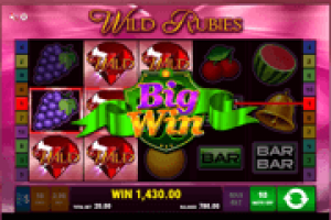 Wild-Rubies-Online-Slot