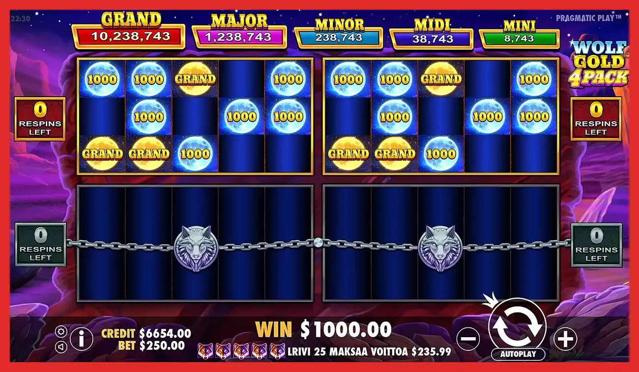 Screenshot of Wolf Gold 4 Pack slot bonus game