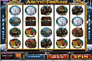 Arctic Fortune