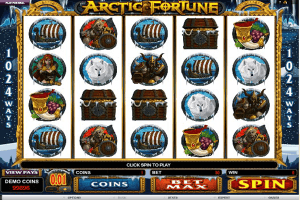 arctic fortune3