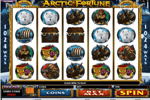 arctic fortune4