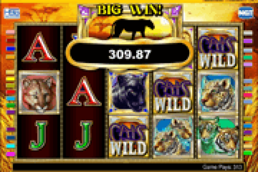 Cats :IGT Online Slot with Split Symbol and Free-Spins Feature