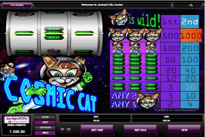 cosmic cat1