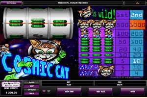 cosmic cat3