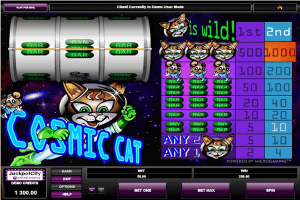 cosmic cat4