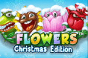 flowerschristmas