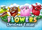 Flowers Christmas Edition