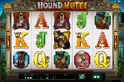 Hound Hotel