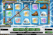 Icy Wonders