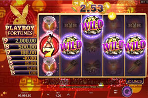 playboy fortunes