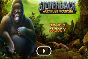 silverback multiplier mountain