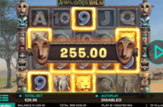 Africa Goes Wild