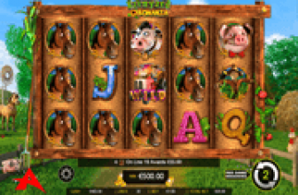 Barnyard Bonanza