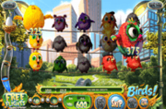 Birds!