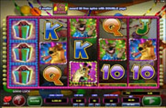 Wild Birthday Blast