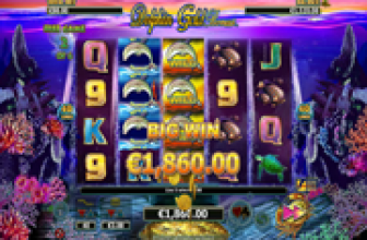 Dolphin Gold