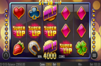 Super Flip