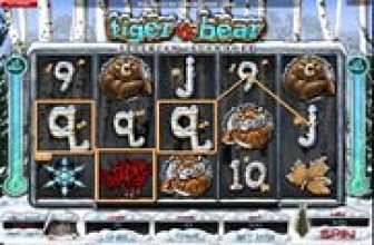 Tiger Vs Bear