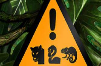 Rumble in the Jungle Slot Contest Ongoing at Bet365 Bingo