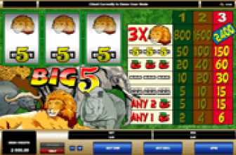 Big 5