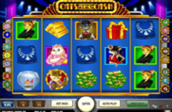 Cats & Cash