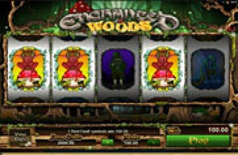 Enchanted Woods