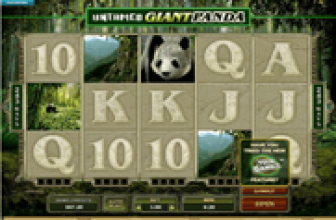 Untamed Giant Panda