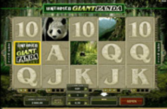 Untamed Giant Panda