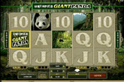 Untamed Giant Panda